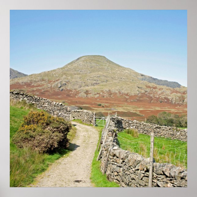 Poster The Old Man of Coniston Postcard Cushion (Frente)