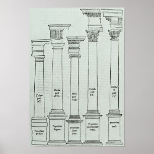 Pôster The Orders of Architecture