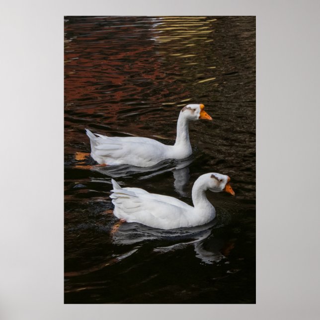 Poster The Pair (Frente)