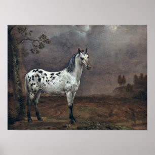 Pôster The Piebald Horse, 1653