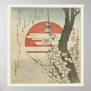 Pôster The Plum Tree and The Rising Sun