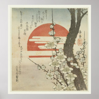 Pôster The Plum Tree and The Rising Sun