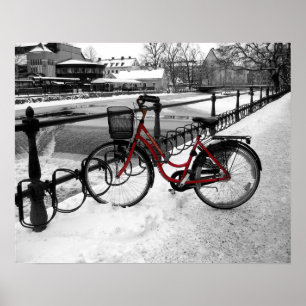 Pôster The Red Bicycle