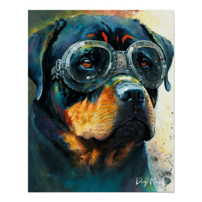 Pôster The Rottweiler Dog With Sunglasses 004 (Frente)