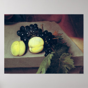 Poster The Sick Bacchus