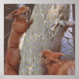 Poster THE SQUIRREL (Sciurus vulgaris)