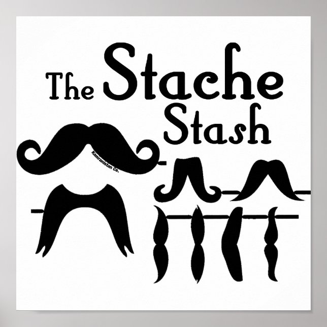 Poster The Stache Stash (Frente)