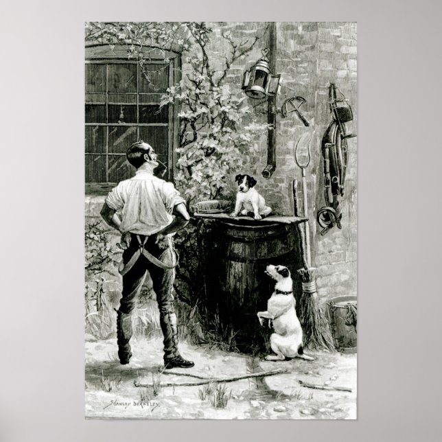 Pôster The Survival of the Fittest (Frente)