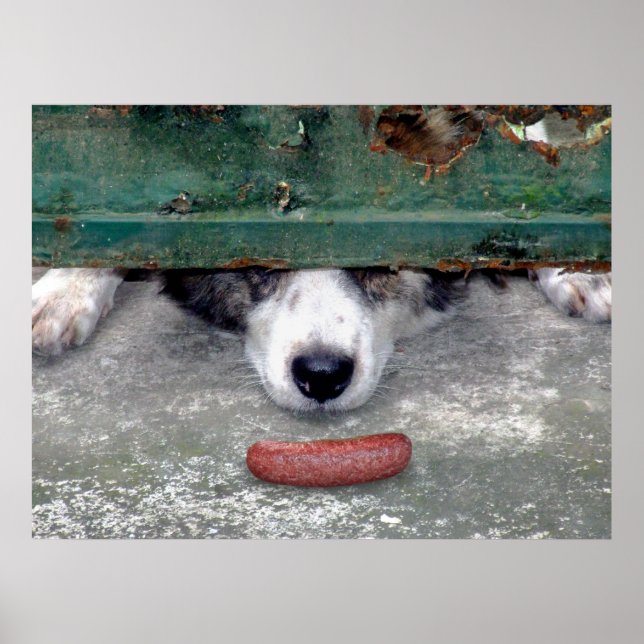 Pôster The Sweet Smell of Success....Almost (Frente)