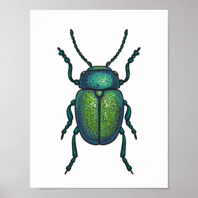 Poster The tansy beetle (Frente)
