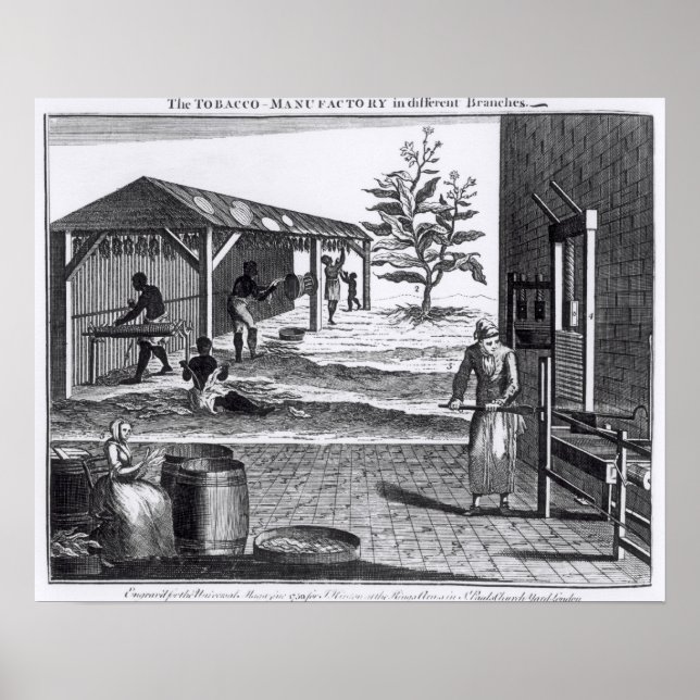 Poster The Tobacco Manufactory in Different Branches (Frente)