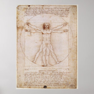 Poster The Vitruvian Man