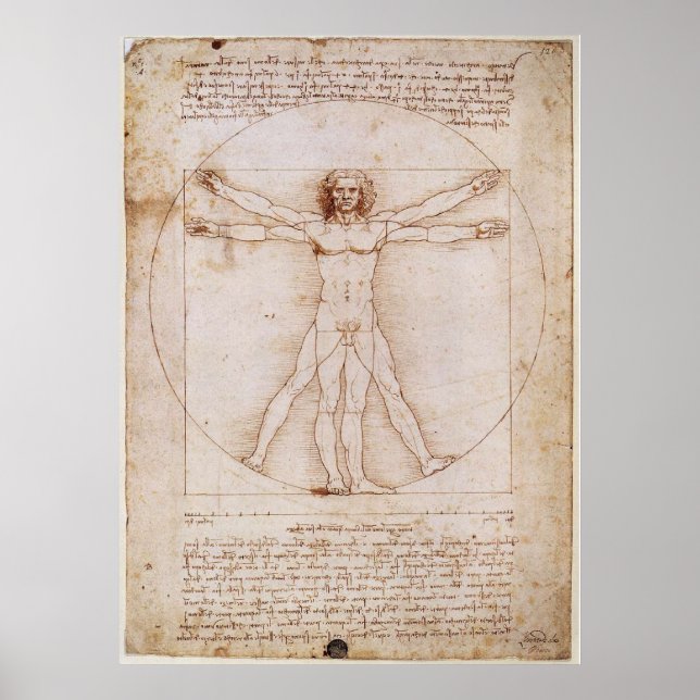 Poster The Vitruvian Man (Frente)