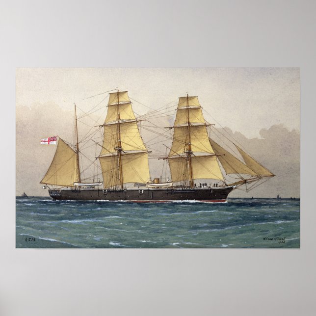 Pôster The Wild Swan, 1906 (Frente)