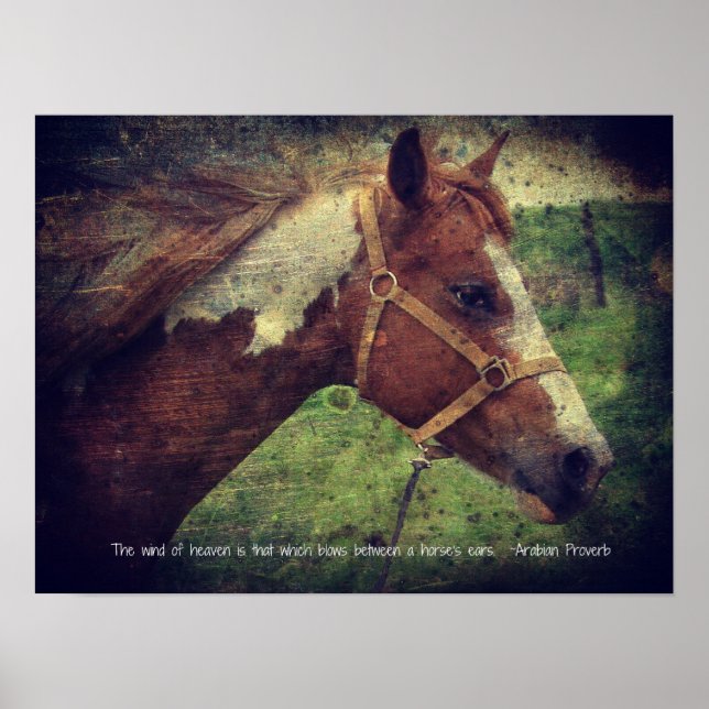 Pôster The Wind of Heaven, Flashy (Frente)