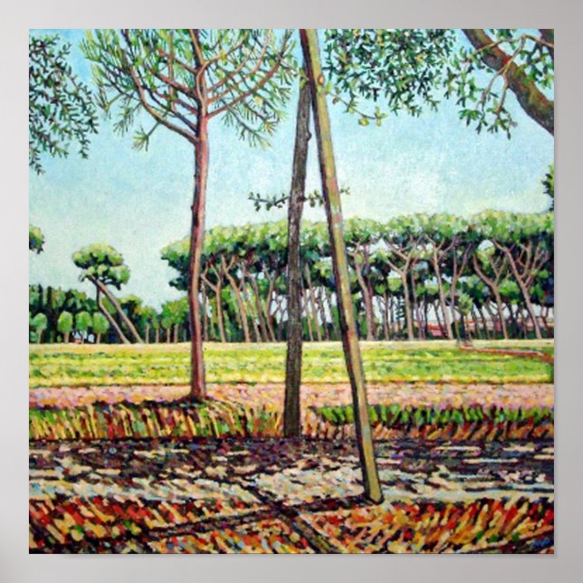 Poster The Young Pine 2009 (Frente)