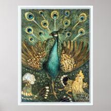Theo Van Hoytema Vintage Peacock Open Wings Peafow