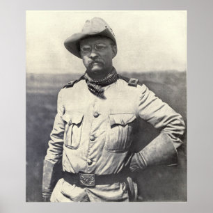 Pôster Theodore Roosevelt