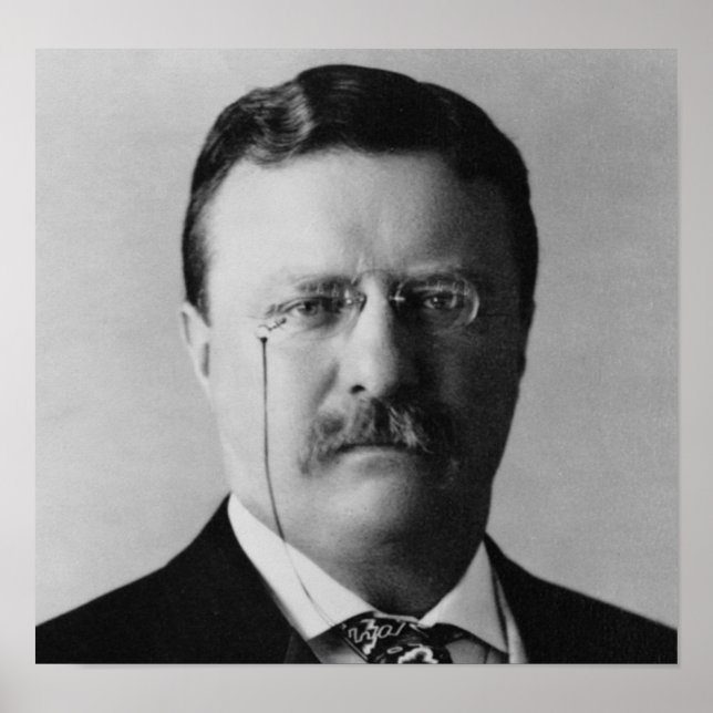 Pôster Theodore Roosevelt (Frente)