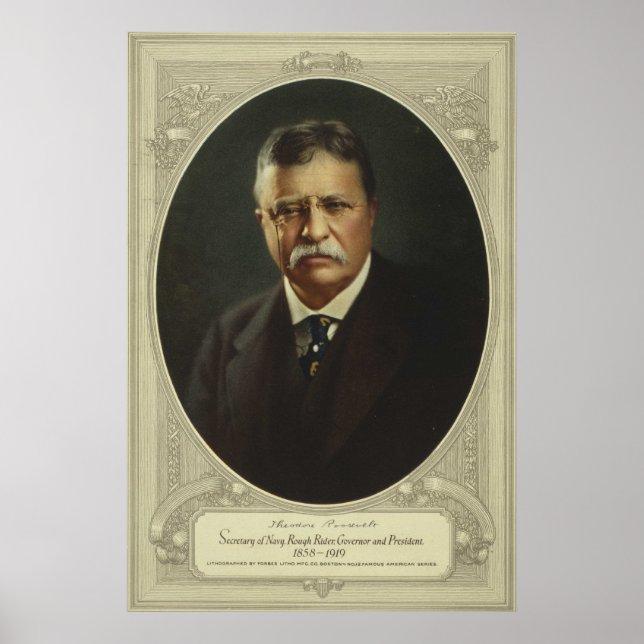 Poster Theodore Roosevelt (Frente)