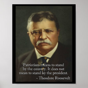 Poster Theodore Roosevelt Meme Anti Trump Tee