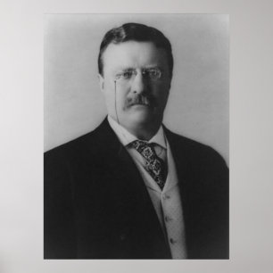 Poster Theodore Roosevelt Portrait
