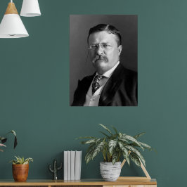 Poster Theodore Roosevelt Presidente Ursinho Republicano