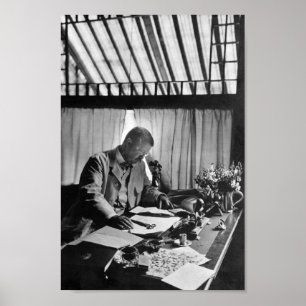 Poster Theodore Roosevelt que trabalha na mesa - monte de