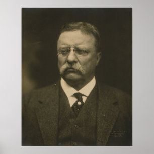 Pôster Theodore Roosevelt Retrato dos Pach Brothers