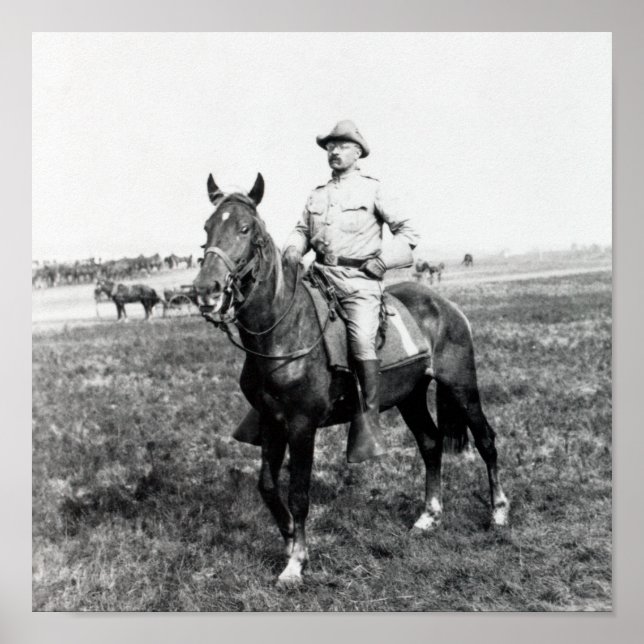 Poster Theodore Roosevelt - The Rough Rider - 1898 (Frente)