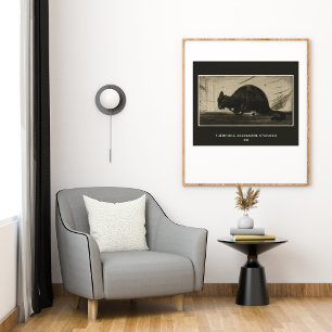 Poster Théophile Steinlen, Gato Negro Arrancando As Cost