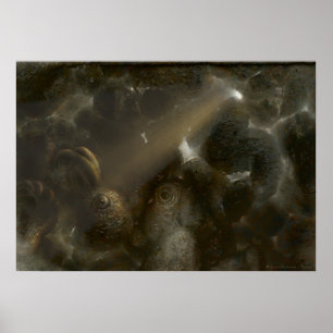 Pôster Therone   Caverna estranha