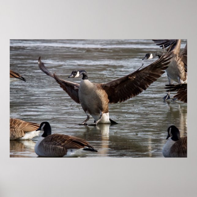 Poster Thin Ice (Frente)