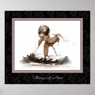 Pôster Things of New