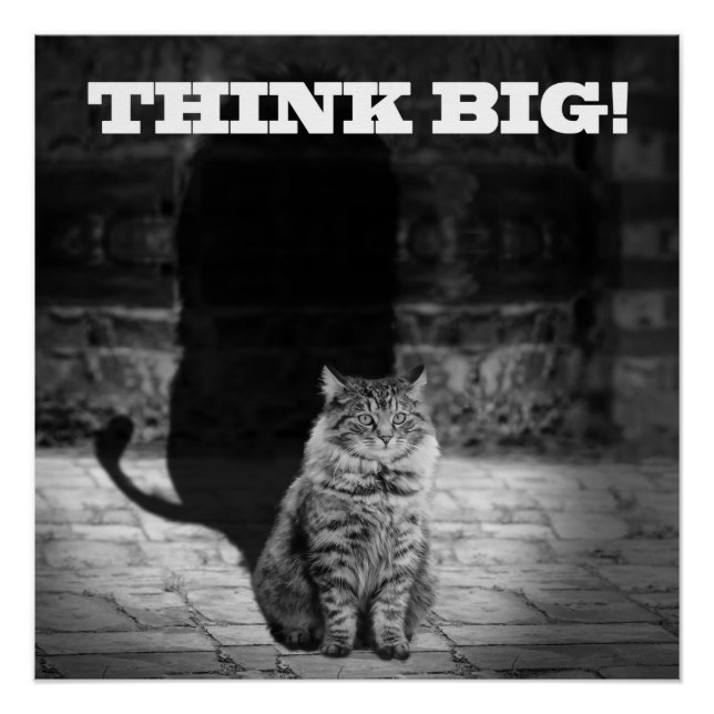 Pôster "Think Big" Cat Shadow Poster 20" x 20" (Frente)