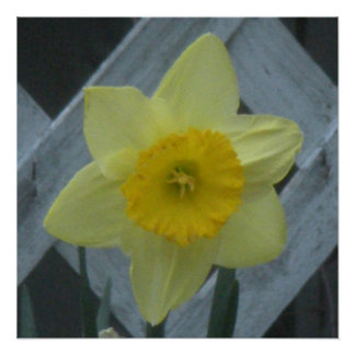 Pôster Think Spring!