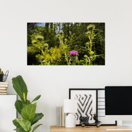 Poster Thistle,