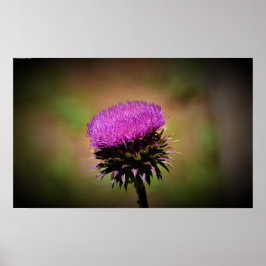 Poster Thistle,