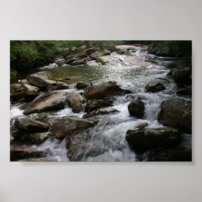 Pôster Thompson River (Frente)