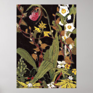 Poster Thomson - Orquídeas, Parque Algonquin