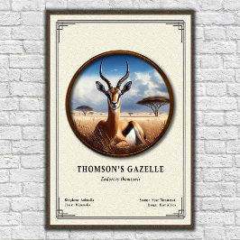 Poster Thomson's Gazelle Zoology Series