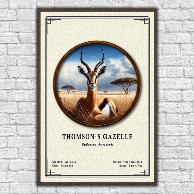 Poster Thomson's Gazelle Zoology Series (Criador carregado)