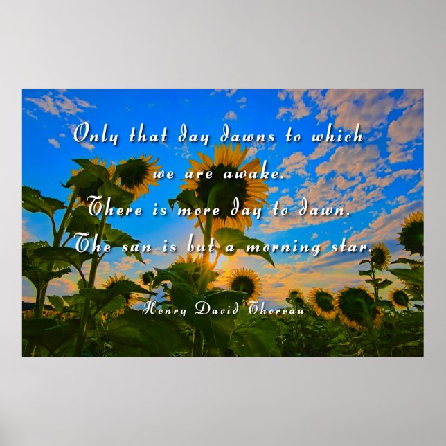 Poster Thoreau, Estrela da Manhã (Frente)