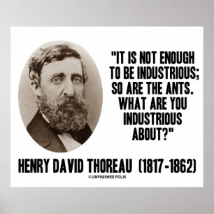 Pôster Thoreau Não É O Suficiente Para Ser Industrial, As