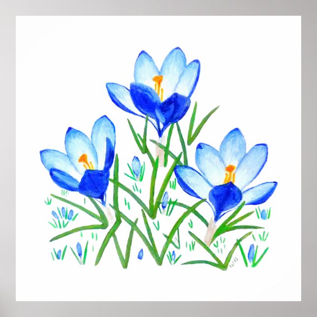 Poster Three Blue Crocus Flowers Print (Frente)