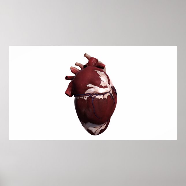 Poster Three Dimensional View Of Human Heart, Left Side (Frente)