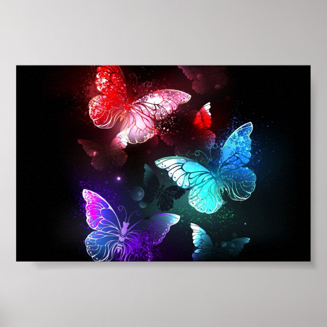 Poster Three Glowing Butterflies on night background (Frente)