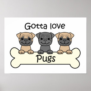 Poster Three Pugs