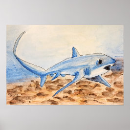 Poster Thresher Shark