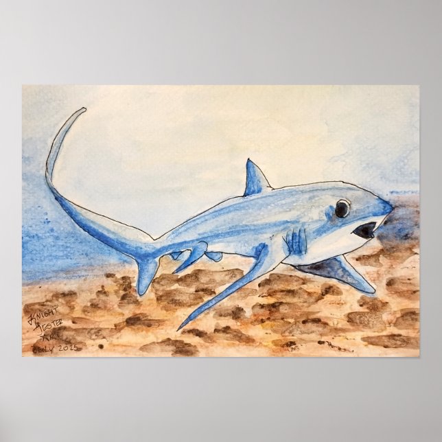 Poster Thresher Shark (Frente)